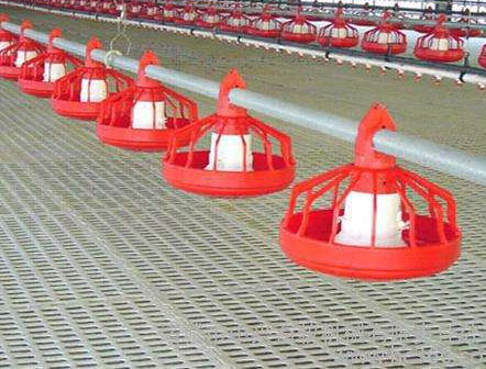 Feed line